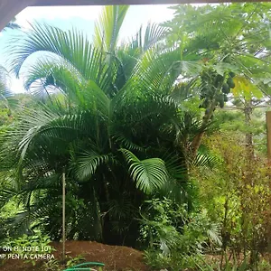 Appartement Tropicale Charmant T2 Dans Un Cadre Verdoyant, Gros-Morne