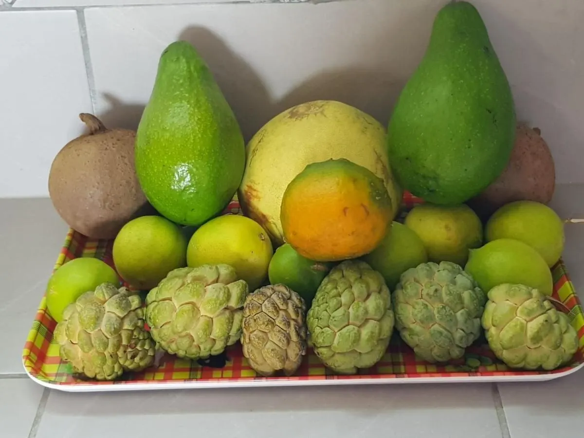 Appartement La Bisalyze à Gros-Morne Martinique